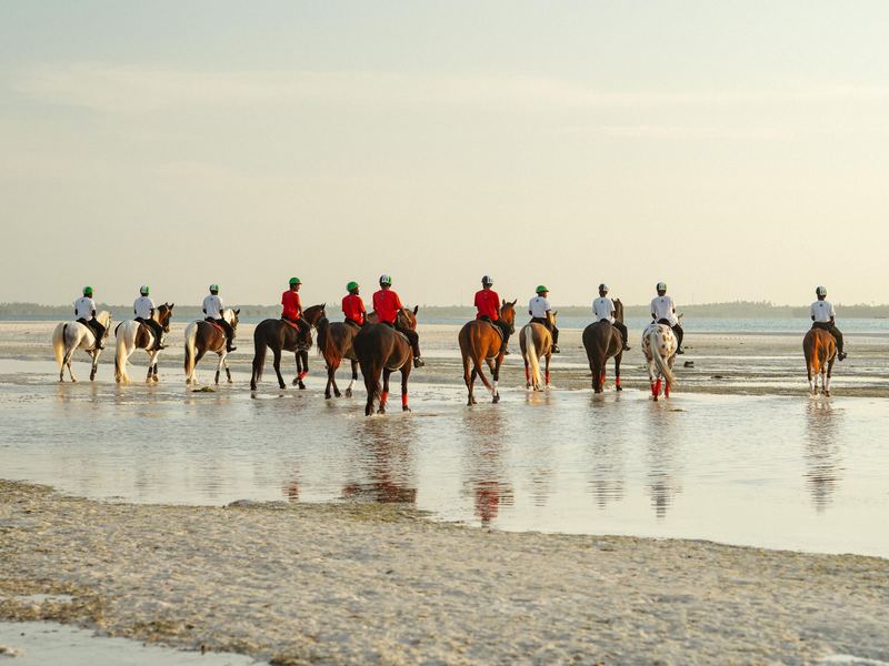 Amanecer con los caballos en San Andrés