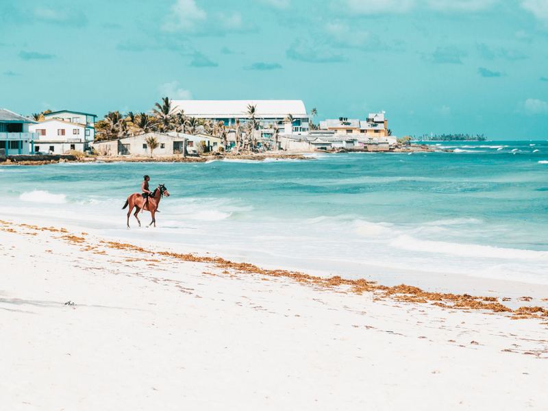 Caballo entrando al mar turquesa de San Andrés