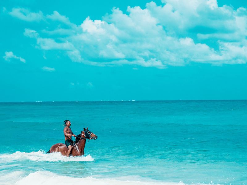 Vista panorámica del Caribe desde el lomo del caballo