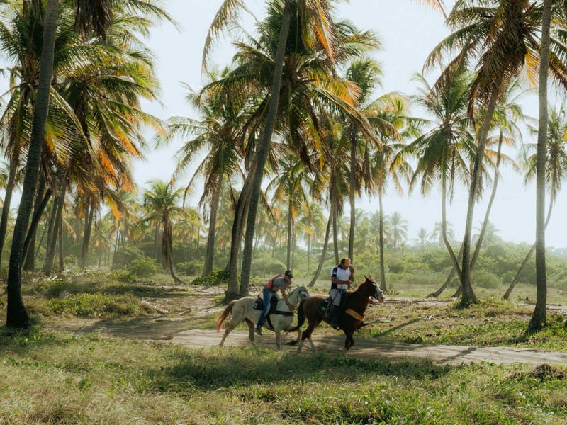Video de la experiencia completa de cabalgata en San Andrés